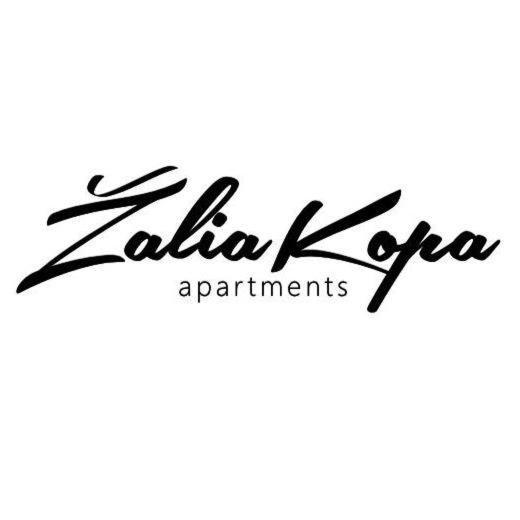 Zalia Kopa Apartments Palanga Kültér fotó