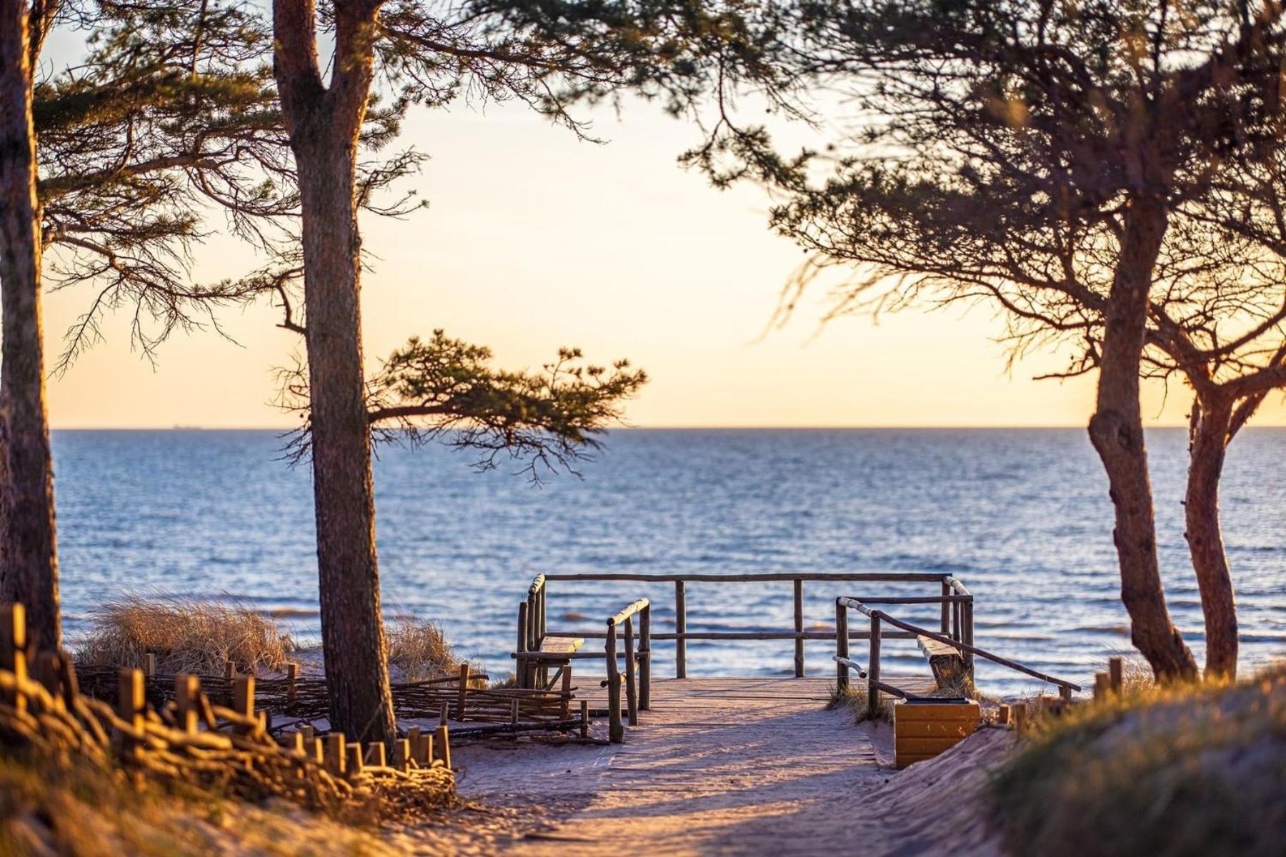 Zalia Kopa Apartments Palanga Kültér fotó