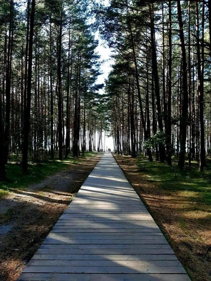 Zalia Kopa Apartments Palanga Kültér fotó