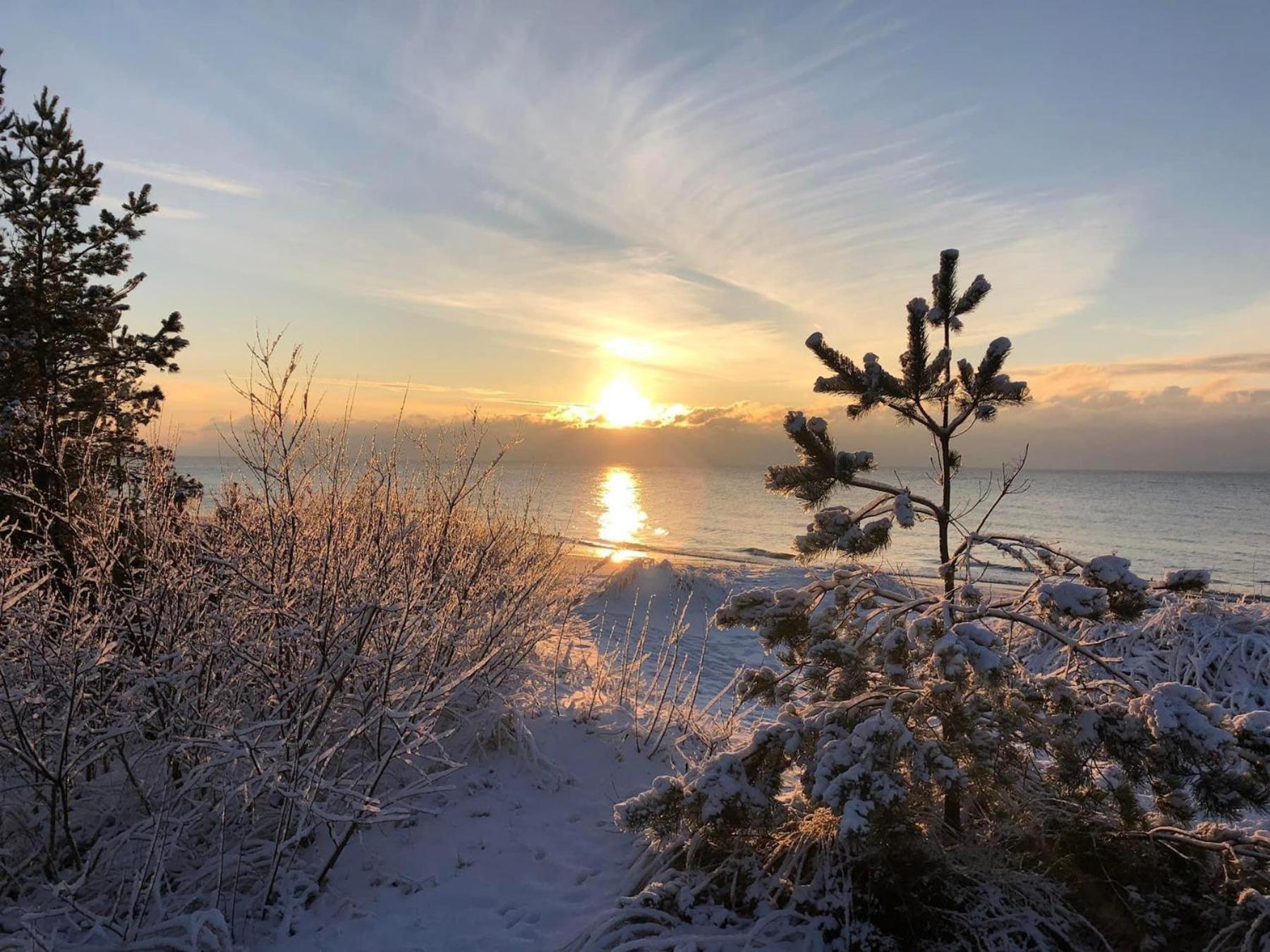 Zalia Kopa Apartments Palanga Kültér fotó
