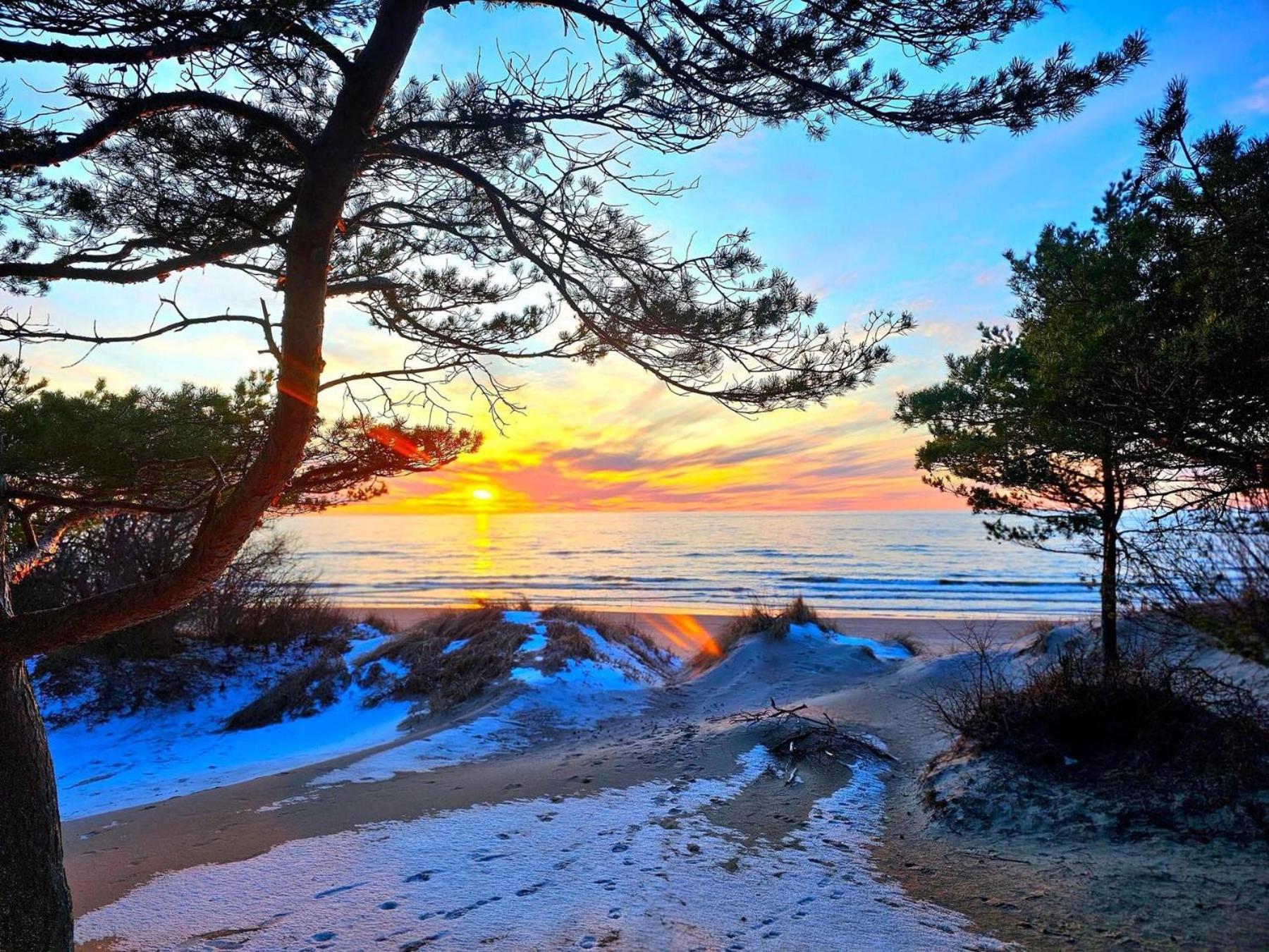 Zalia Kopa Apartments Palanga Kültér fotó